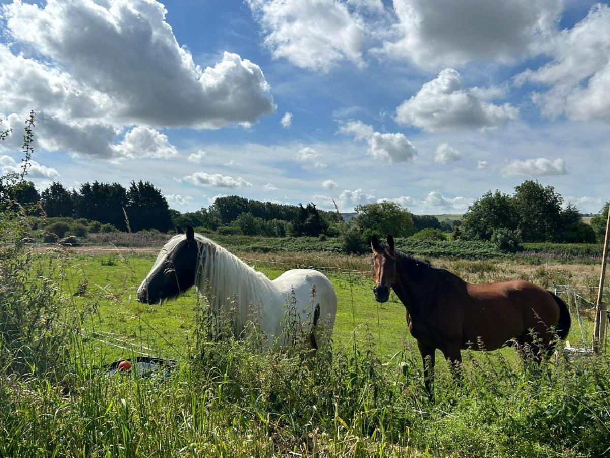 Hotel Roe Deer Meadow At Carr House Farm Scarborough Zewnętrze zdjęcie