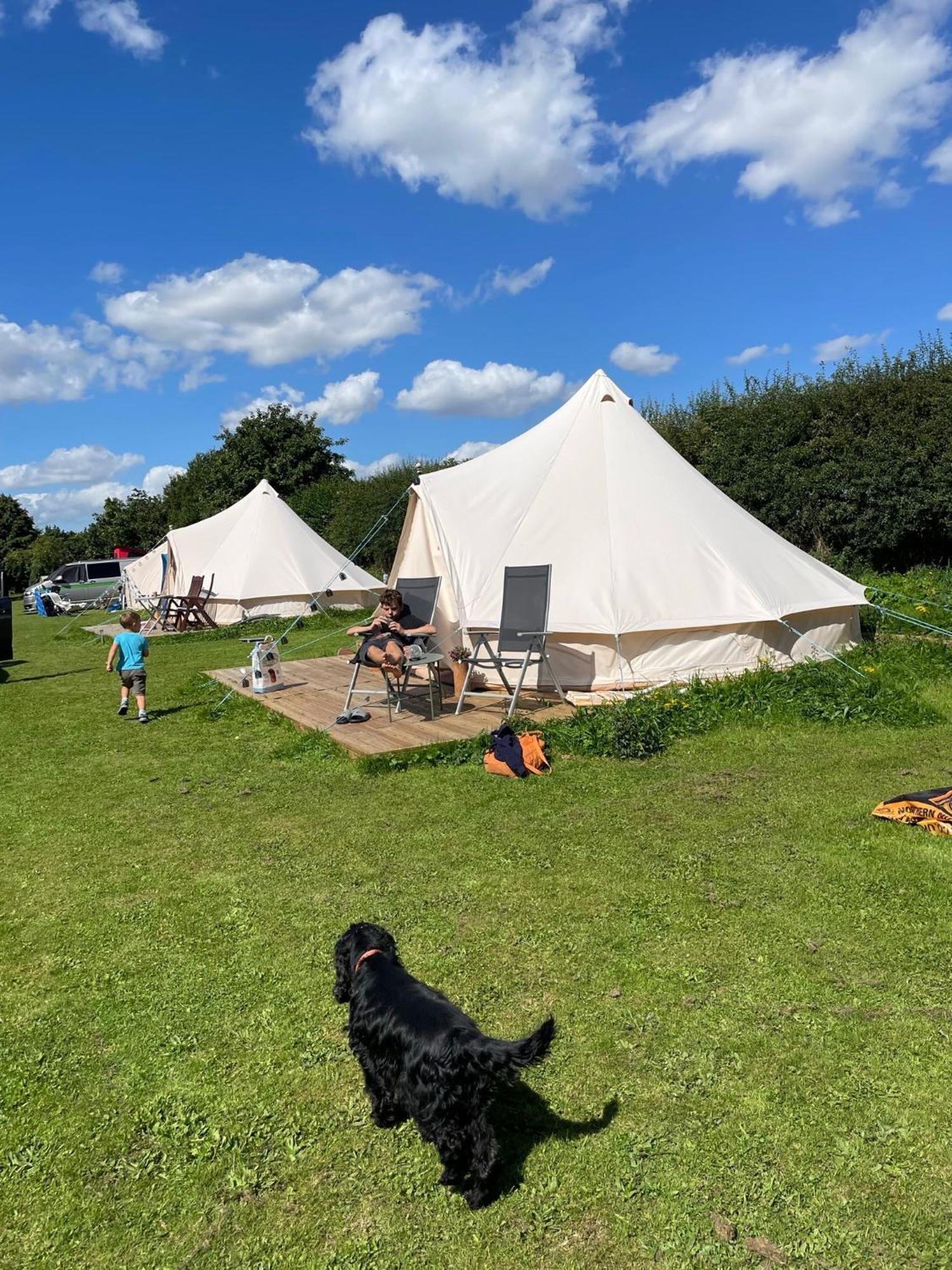 Hotel Roe Deer Meadow At Carr House Farm Scarborough Zewnętrze zdjęcie